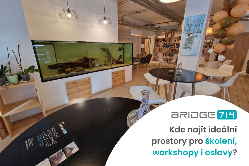 Pořádání akcí v Mostě: Kde najít ideální prostory pro školení, workshopy i oslavy?